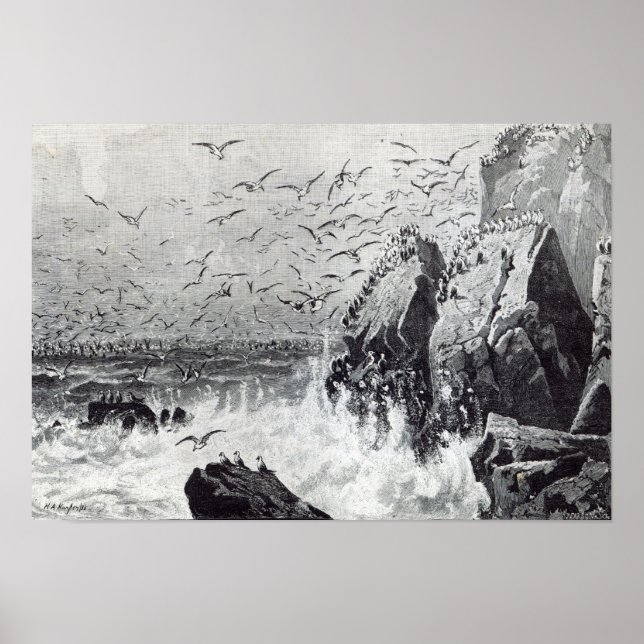 Affiche La hantée des Mouettes (Devant)