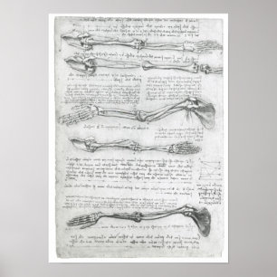 Affiche La Haute Extrémité, Léonard de Vinci