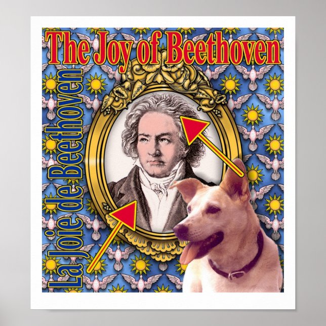 Affiche La joie de Beethoven (Devant)
