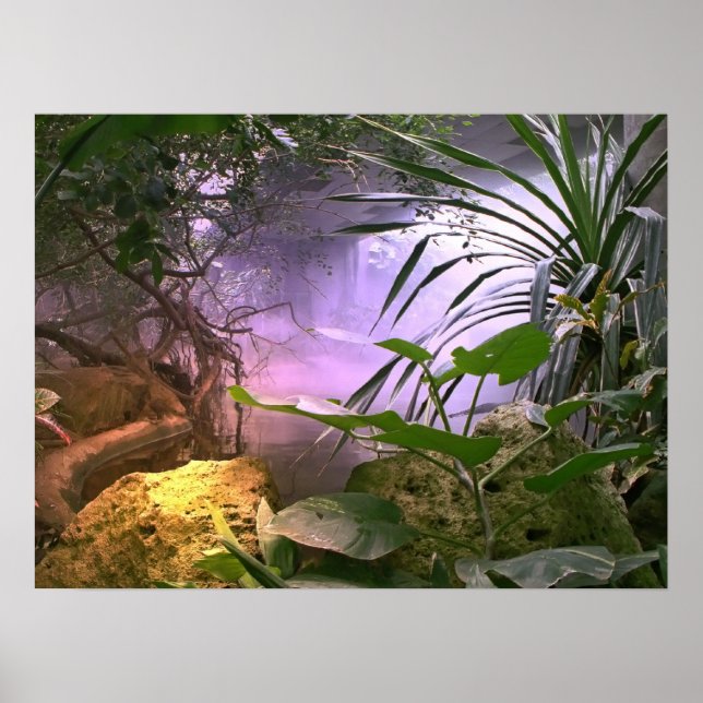 Affiche La Jungle (Devant)