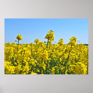 Affiche La ligne d'horizon - Couleurs de la nature sauvage