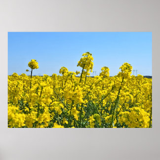 Affiche La ligne d'horizon - Couleurs de la nature sauvage