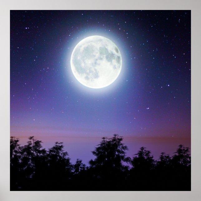 Affiche la Lune au-dessus de la forêt (Devant)