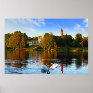 Affiche La magie du lac des cygnes