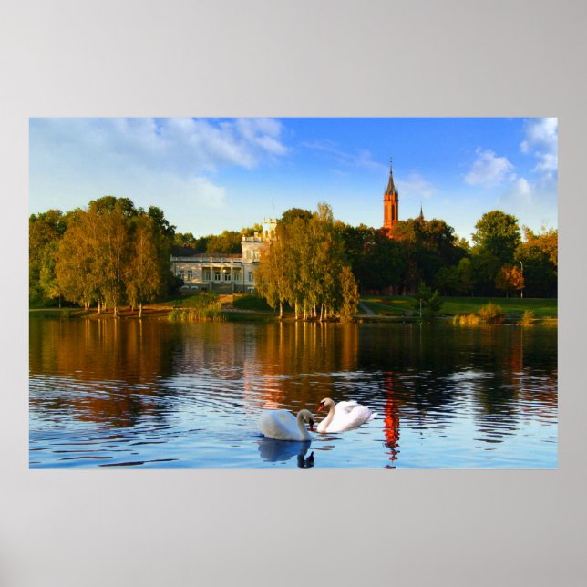 Affiche La magie du lac des cygnes (Devant)