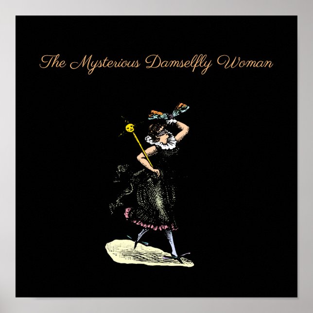 Affiche La magique femme mouche (Devant)