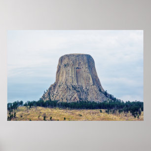 Affiche La maison de l'ours