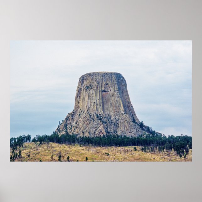 Affiche La maison de l'ours (Devant)