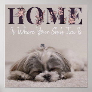 Affiche La maison est où est votre Shih Tzu