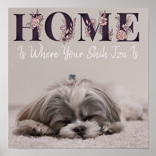 Affiche La maison est où est votre Shih Tzu (Devant)