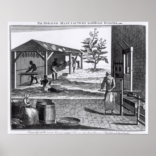 Affiche La manufacture de tabac dans différentes branches (Devant)