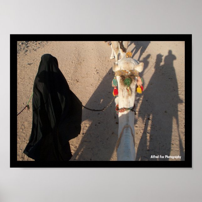 Affiche La marche du chameau (Devant)