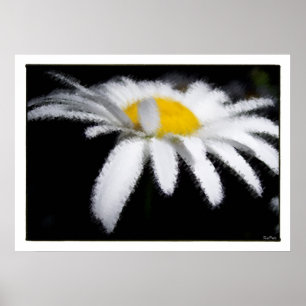 Affiche La marguerite dans le noir