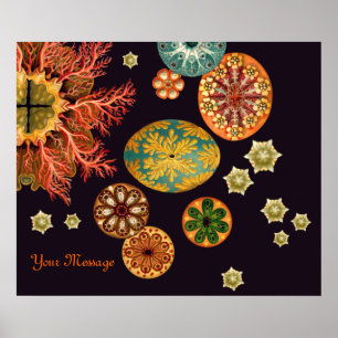 Affiche La mer injectent remélangent l'affiche