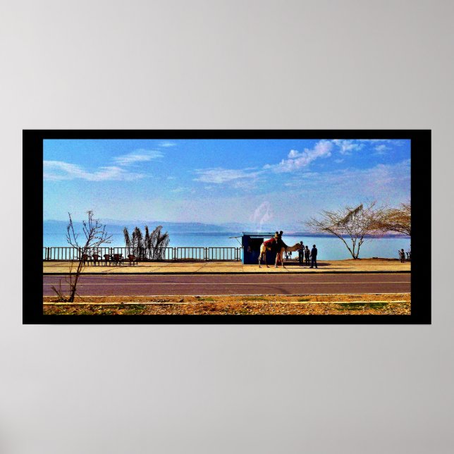 Affiche La mer Morte (Devant)