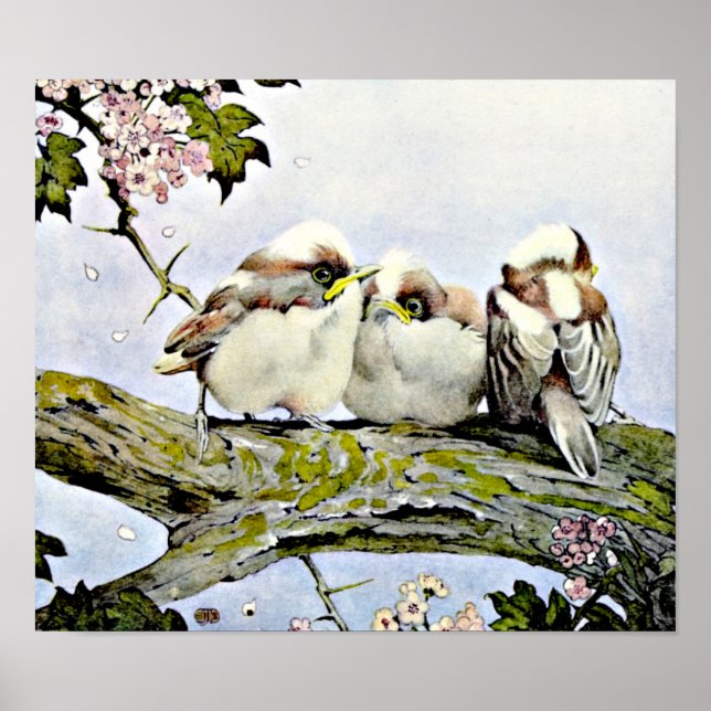 Affiche La mésange à longue queue, Edward Julius Detmold (Devant)