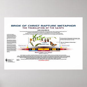 Affiche La métamorphose de l'Épouse du Christ