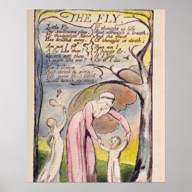 Affiche 'La Mouche', assiette 37 de 'Chansons d'Innocence  (Devant)