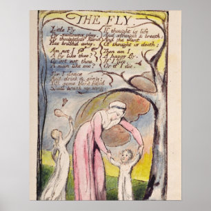 Affiche "La mouche", plaquent 37 des 'chansons de