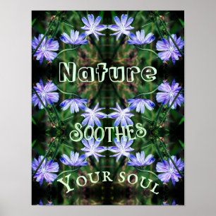 Affiche La nature apaise la chicorée sauvage Inspirationne
