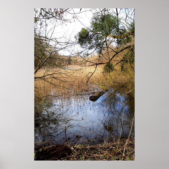 Affiche La nature des Madowlands (Devant)