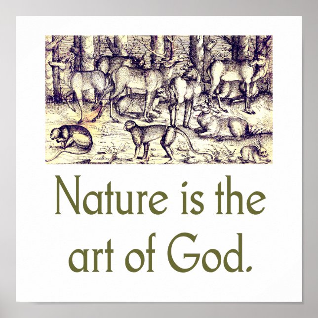 Affiche La Nature Est L'Art De Dieu (Devant)