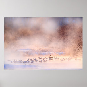 Affiche La nature hivernale japonaise. La faune, la nature