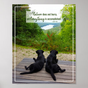 Affiche La nature ne se dépêche pas - Citation inspirée de
