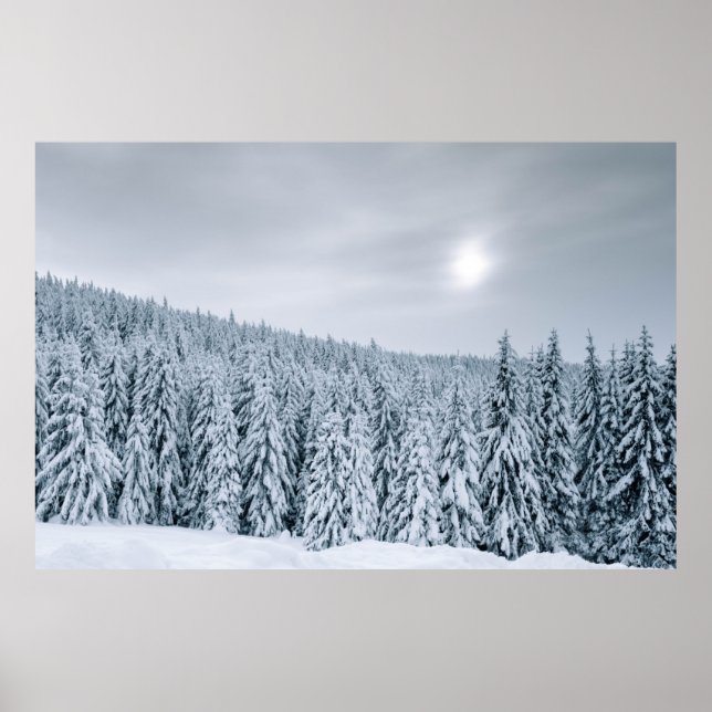 AFFICHE LA NEIGE COUVERT LES ARBRES PENDANT LA JOURNÉE (Devant)