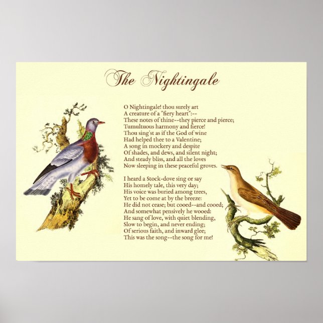 Affiche "La Nightingale" de Wordsworth - Art Print (Devant)