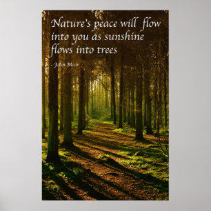 Affiche 'La paix de la nature coulera en vous' citation J