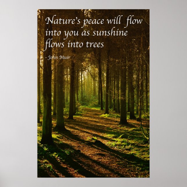 Affiche 'La paix de la nature va couler dans vous' J Muir  (Devant)