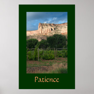 Affiche La patience