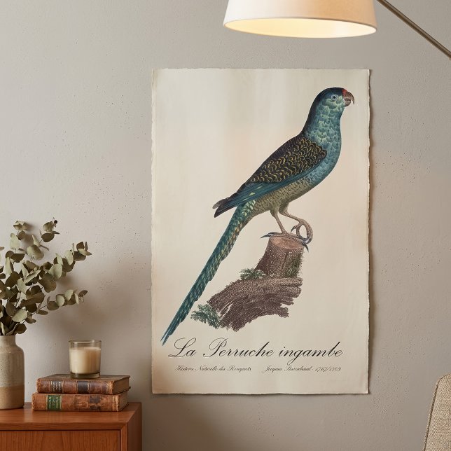 Affiche La Perruche ingambe (Ground Parrot or Swamp Parrot, Pezoporus Wallicus. Poster)