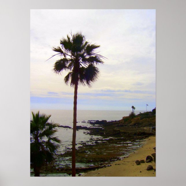 Affiche La plage de Laguna (Devant)