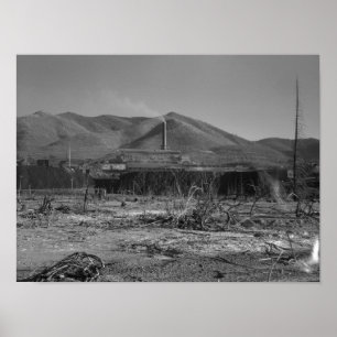 Affiche La plus grande mine de plomb au monde - Kellogg