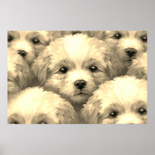 Affiche La portée de chiots blonds sur un mur