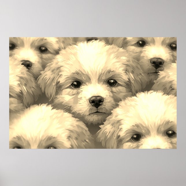 Affiche La portée de chiots blonds sur un mur (Devant)