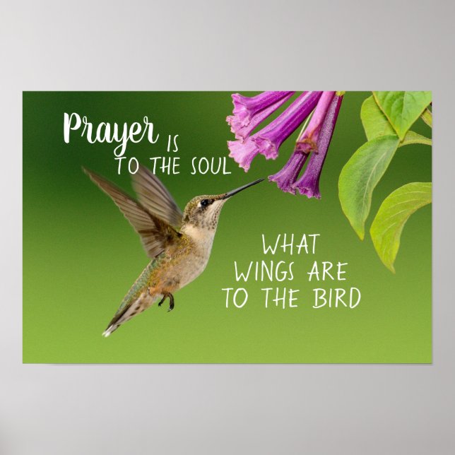 Affiche La prière de colibri est à l'âme (Devant)