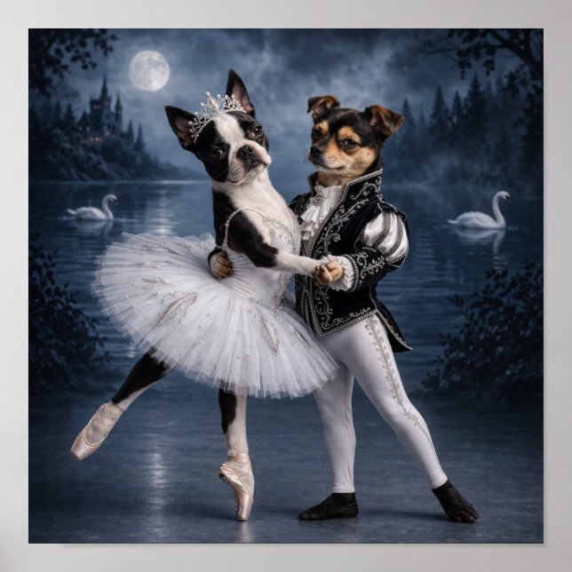 Affiche "La Princesse Odette & le Prince Siegfried" (2) (Devant)