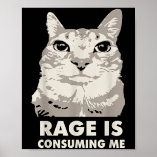 Affiche La rage me consomme Mème de chat en colère Sarcasm