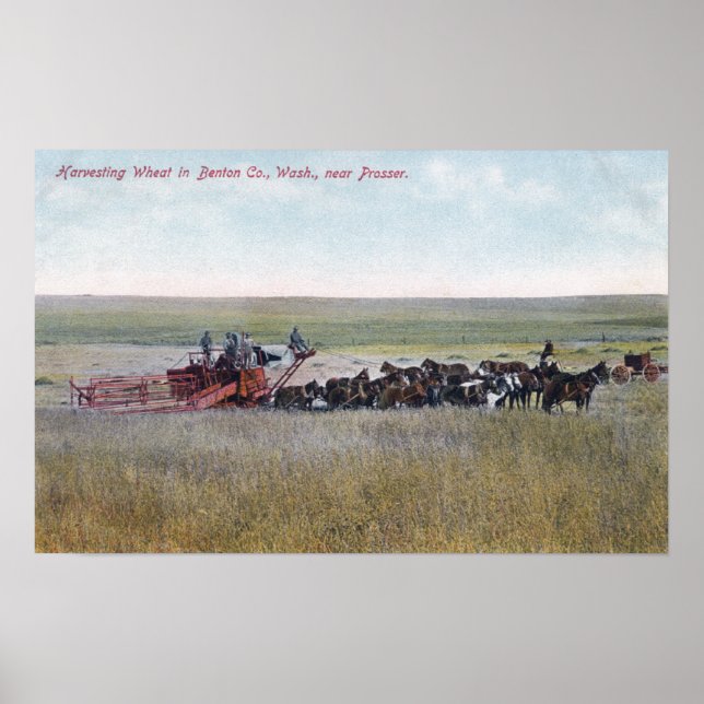 Affiche La récolte du blé (Devant)