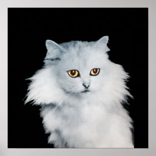 AFFICHE LA REINE DES CHATS BLANCS
