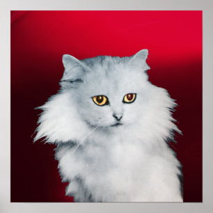 Affiche LA REINE DES CHATS BLANCS ,Bourgogne Rouge