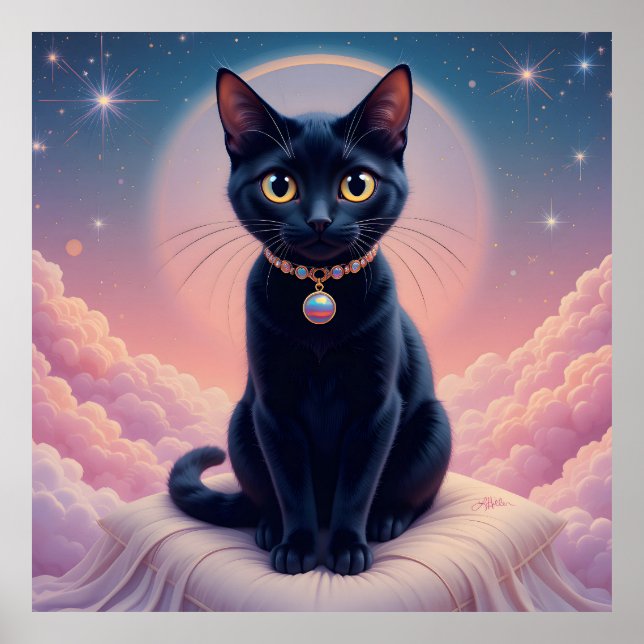 Affiche La Reine Du Ciel De Chat Noir (Devant)
