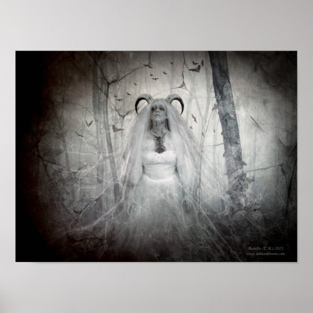 Affiche La résurrection de Bathory (Devant)