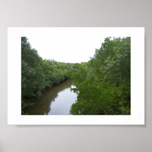 Affiche La Rivière Green Australie Photographie couleur
