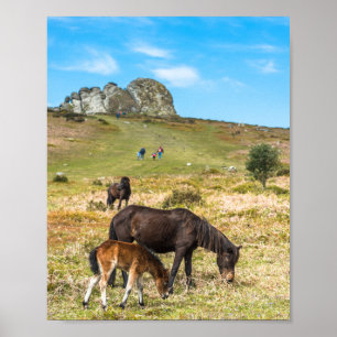 Affiche La roche de Pony Haytor dans le parc national Devo