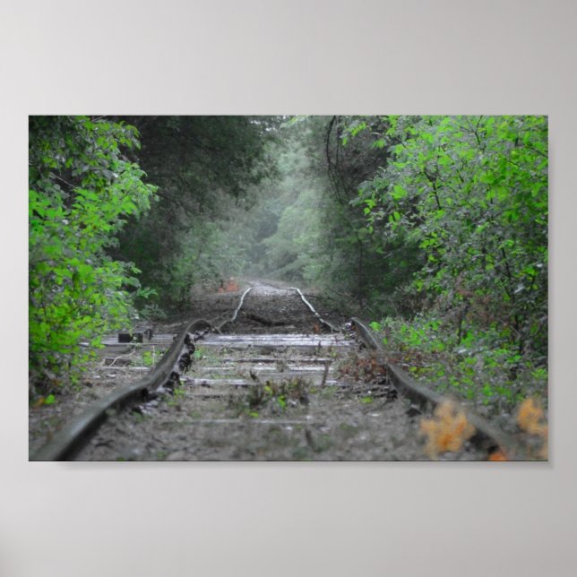 Affiche La route moins parcourue (Devant)