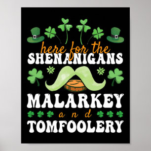 Affiche La Saint-Patrick ici pour les bêtises et les sotti